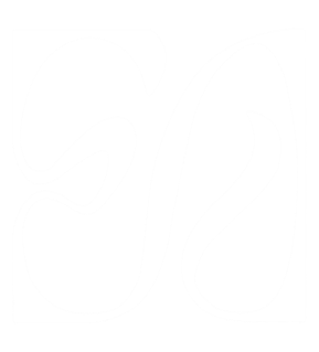 andina endri logo andina endri logo
